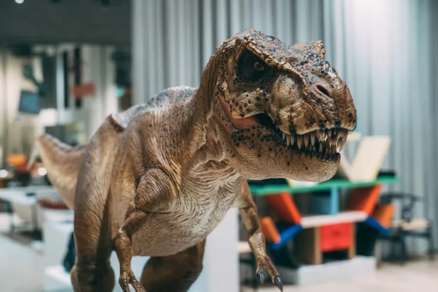 Dino Party в Jungle Family Club